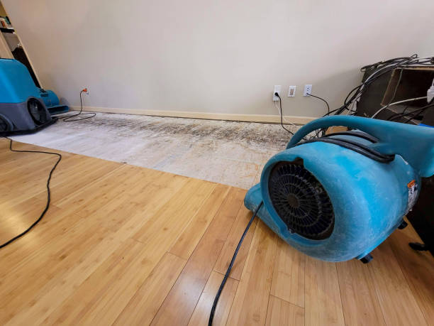 Professional Emergency Water Damage technician working in Bellevue, NE